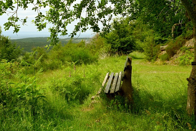 攻防体系的 攻防体系的