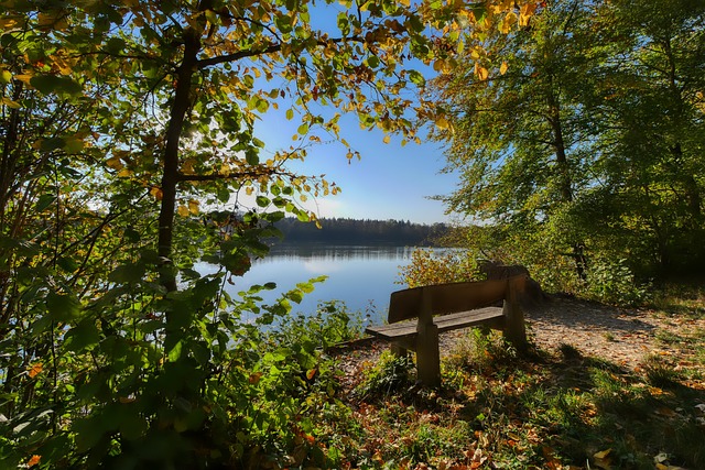 但當球隊需 但當球隊需