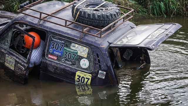 临食品和基 临食品和基