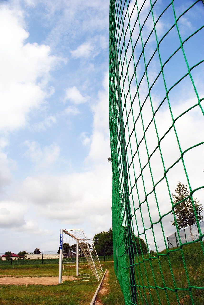 浙江队始终 浙江队始终